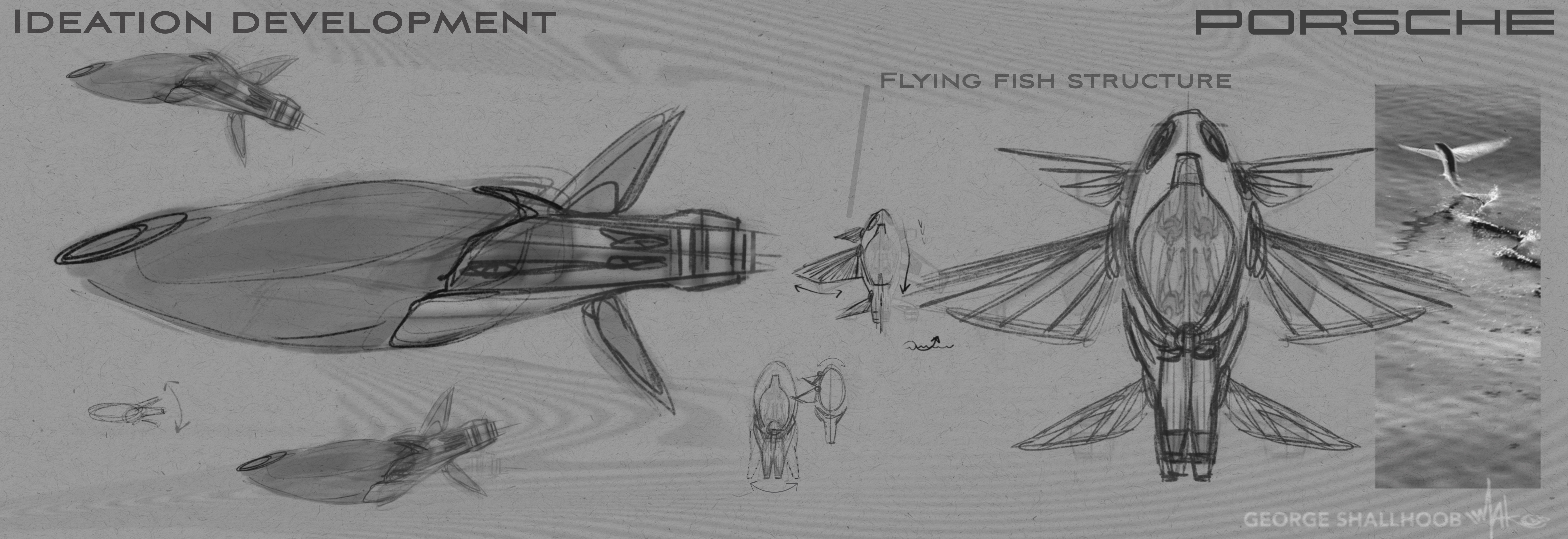 Aerodynamic silhouettes inspired by aquatic and aviation forms.