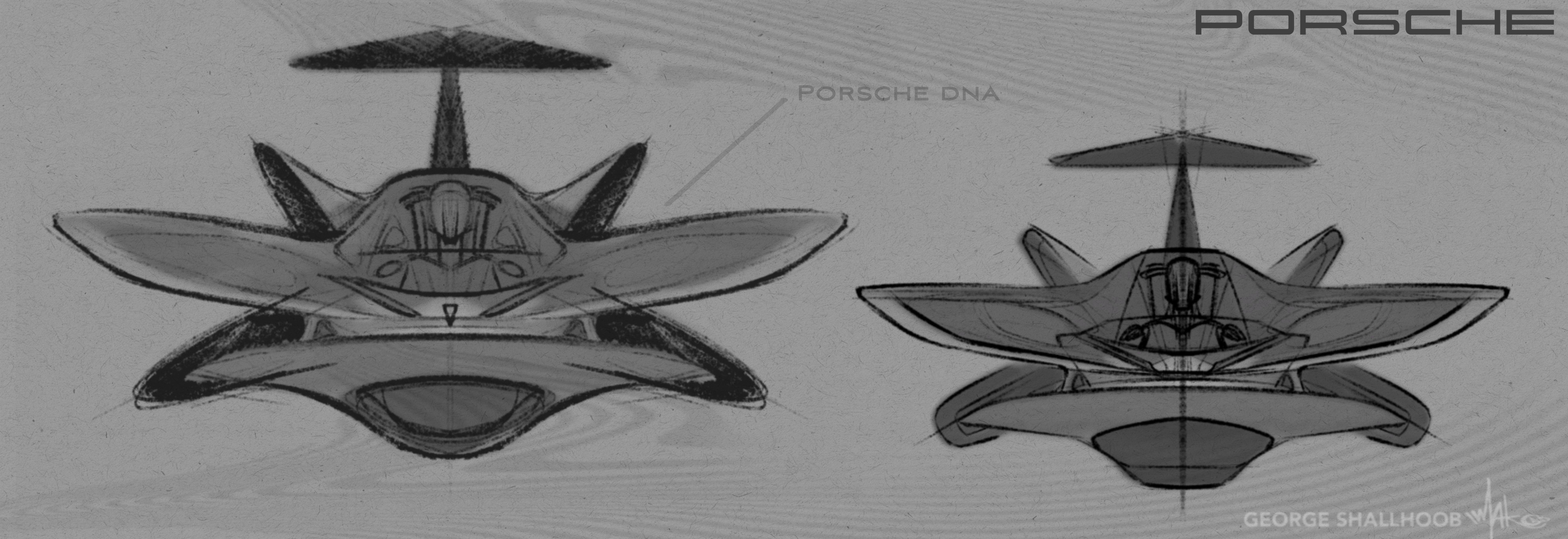 Flying fish morphology study applied to adaptive wing structures.