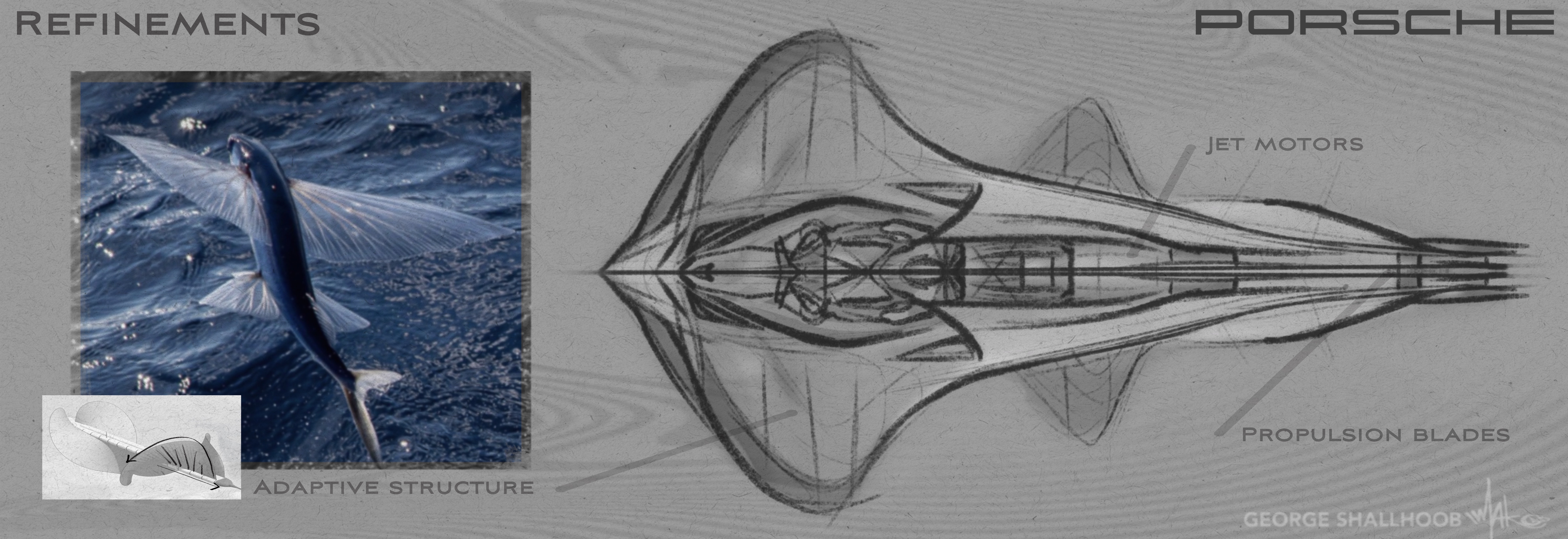 Sketches defining iconic four-point shapes and wing experimentation.